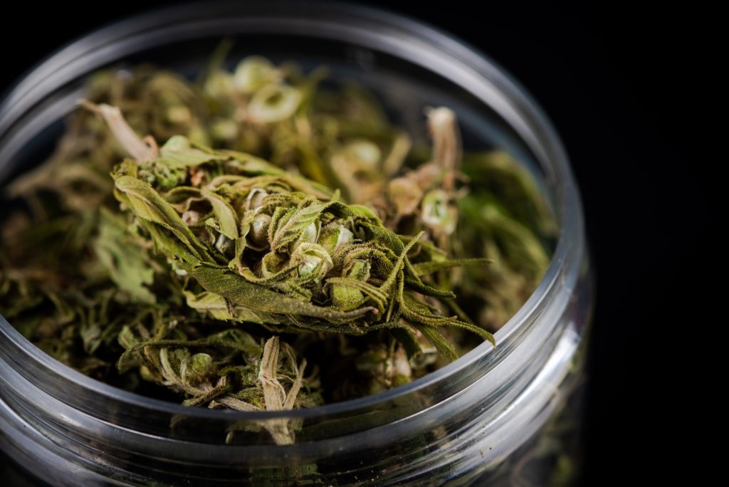 Recreational and Medical Use of Cannabis. Legal Drug. Creative Concept